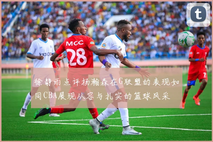 徐静雨点评杨瀚森在G联盟的表现如同CBA展现从容与扎实的篮球风采