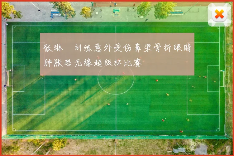 张琳芃训练意外受伤鼻梁骨折眼睛肿胀恐无缘超级杯比赛