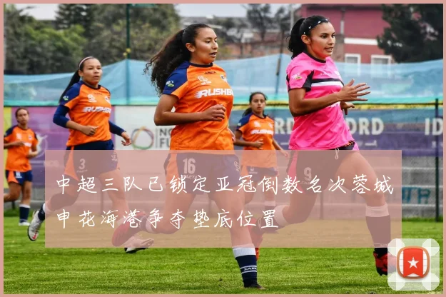 中超三队已锁定亚冠倒数名次蓉城申花海港争夺垫底位置
