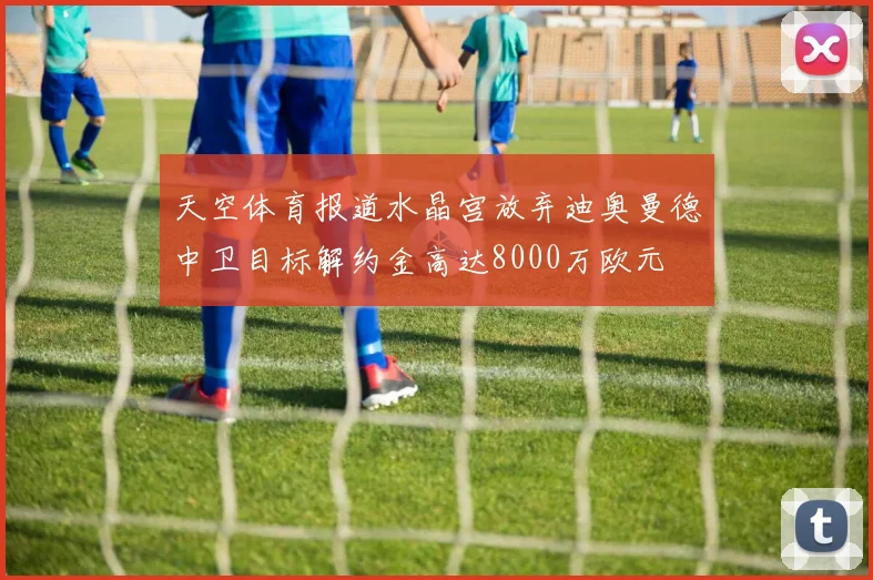 天空体育报道水晶宫放弃迪奥曼德中卫目标解约金高达8000万欧元